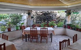 Alexander Stay Hotel